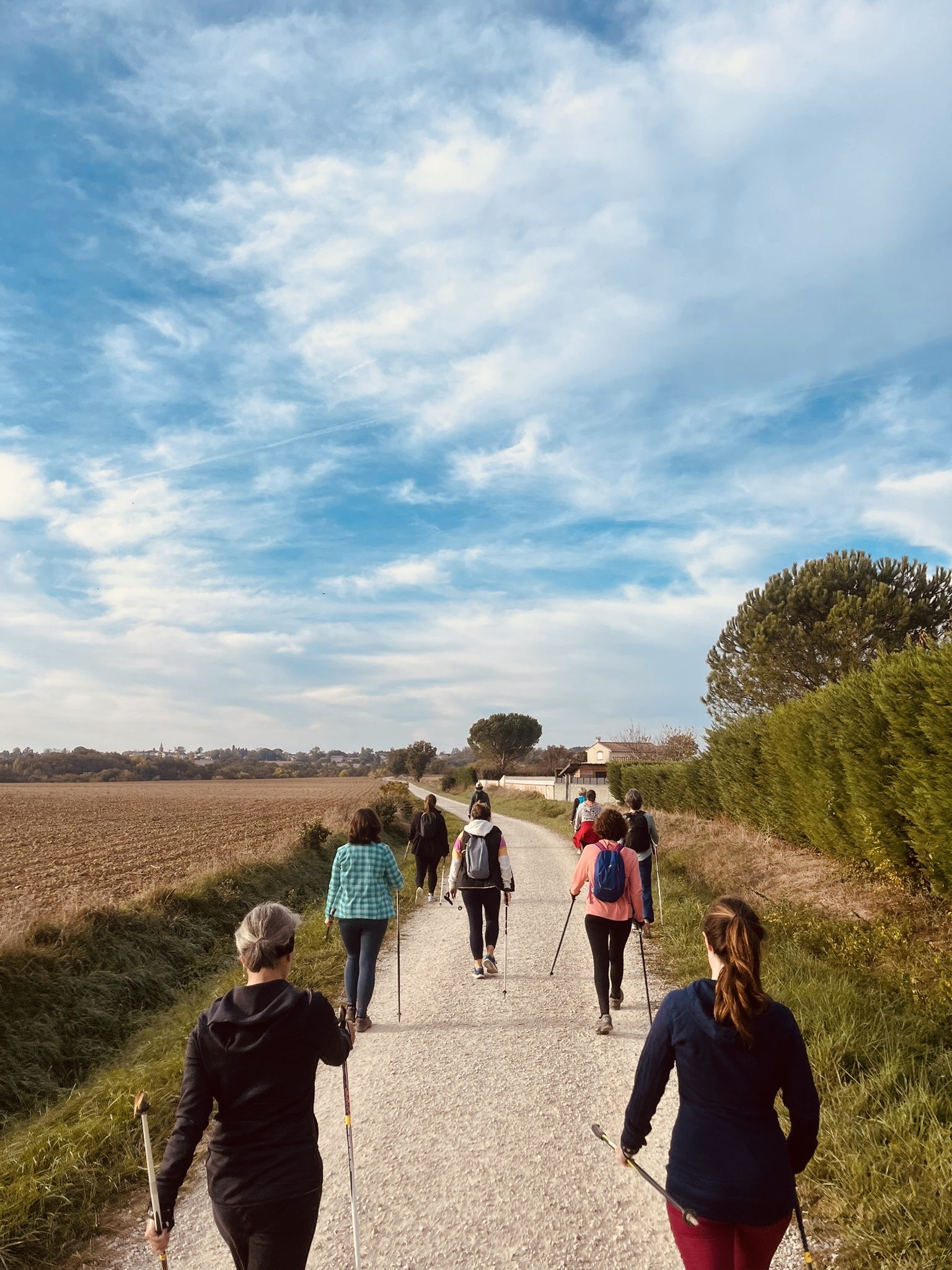 0174544d-e4ff-4423-ad35-cff0ca93eaf2