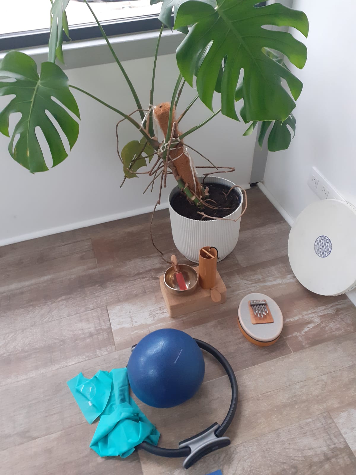 WhatsApp Image 2025-12-20 at 19.23.15