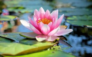 WhatsApp Image 2026-01-04 at 14.52.48